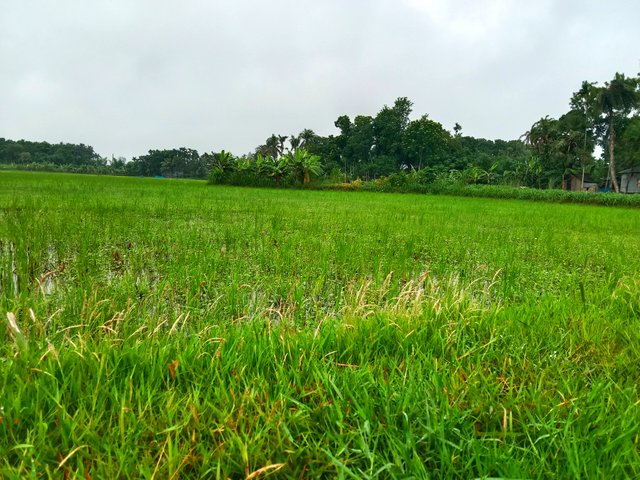 IMG_20250618_221323.jpg