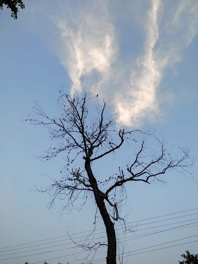 1000027625.jpg