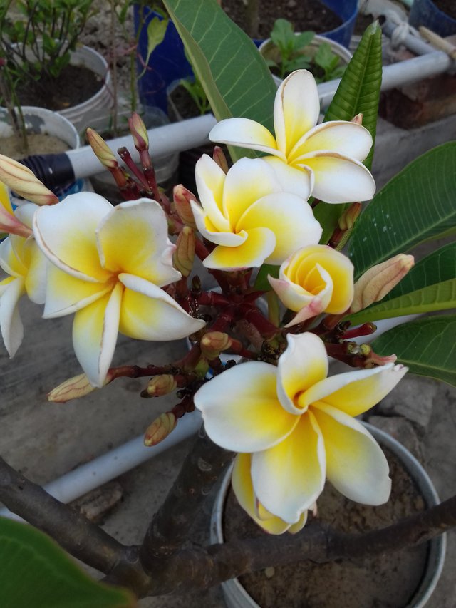 20190419_173532.jpg