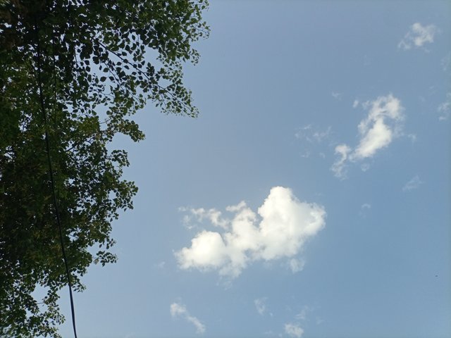 IMG_20250603_061327_234.jpg