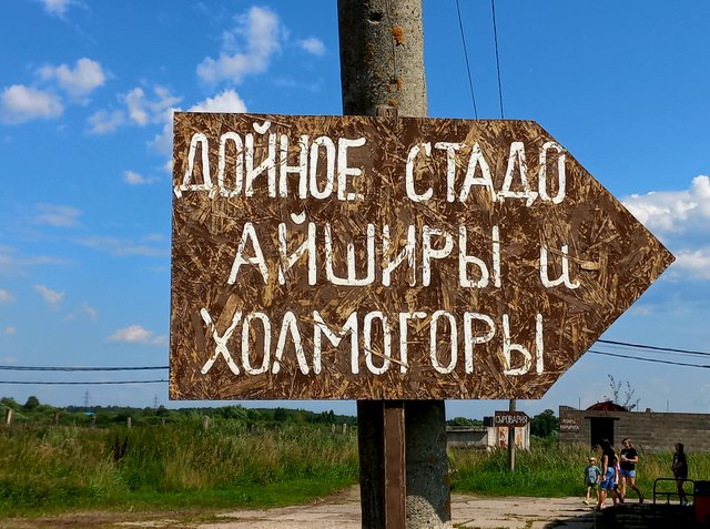 20240727_140345.jpg