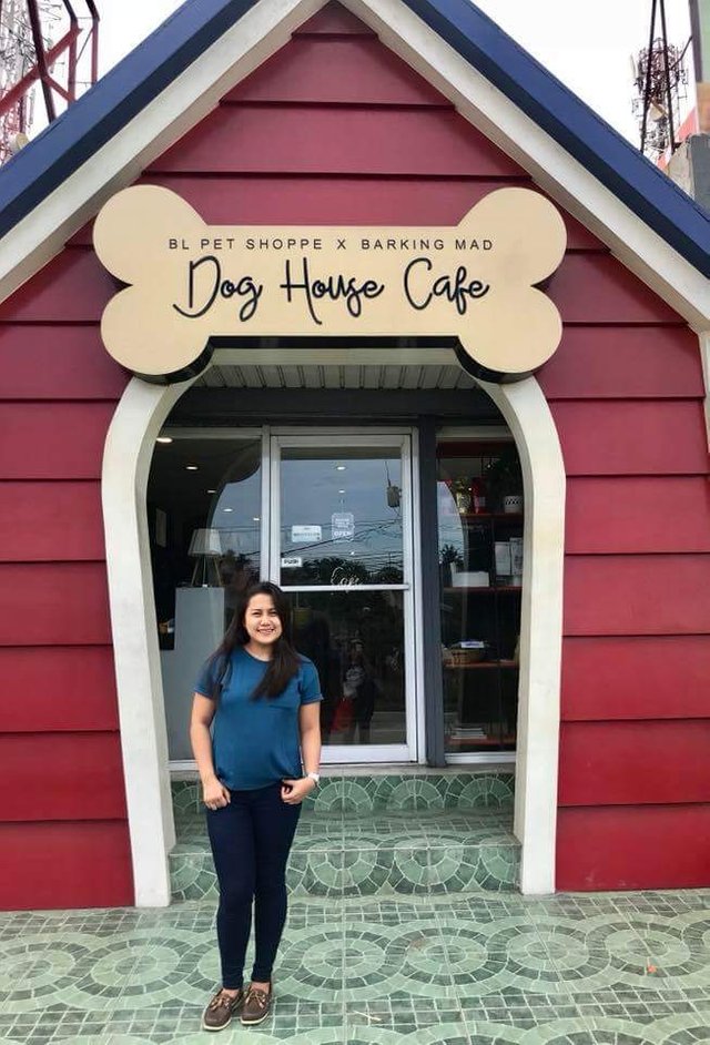 Dog house hot sale cafe