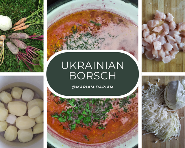 Ukrainian borsch.png