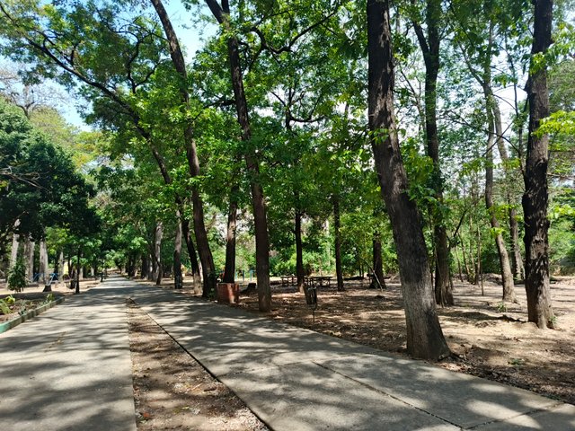 1000241531.jpg