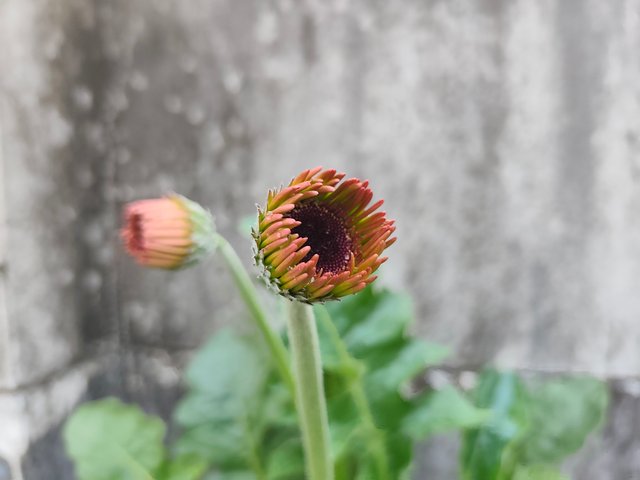 1000013635.jpg