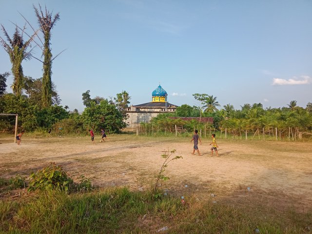 IMG_20250728_172351.jpg
