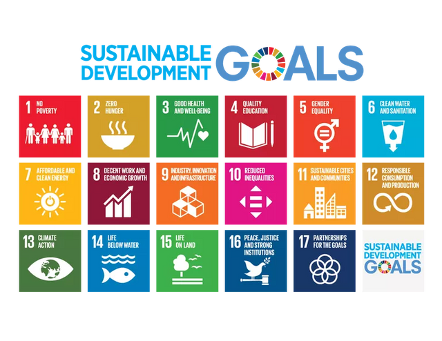 지속가능한 개발 목표(SDGs)