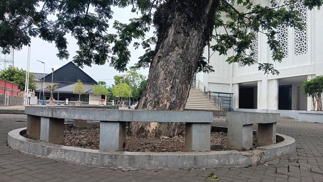 20250616_120738.jpg