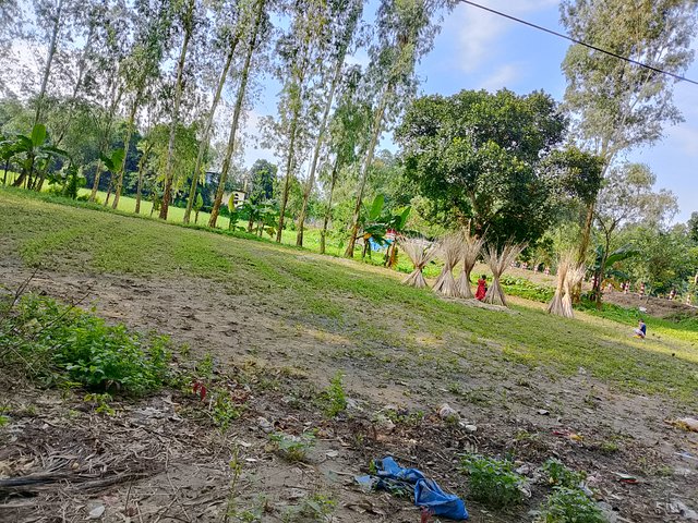 1000047505.jpg