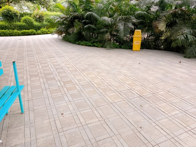 1000035663.jpg