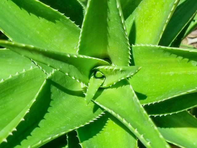 20250628_144304.jpg