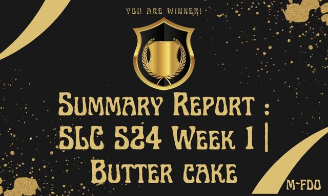 Summary Report SLC S24 Week 1 Butter cake.jpg