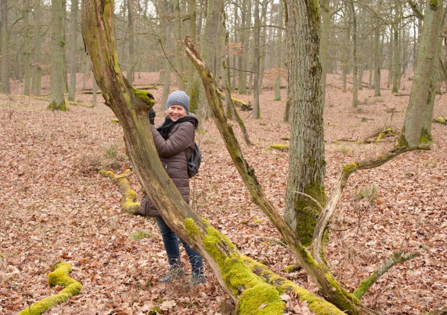 Rezerwat "Dziki Ostrów" zimą