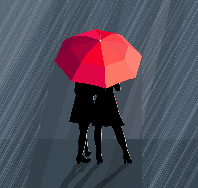 rain-7755142_640.png