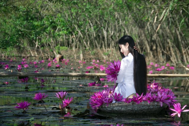 vietnam-4905789_1280.jpg