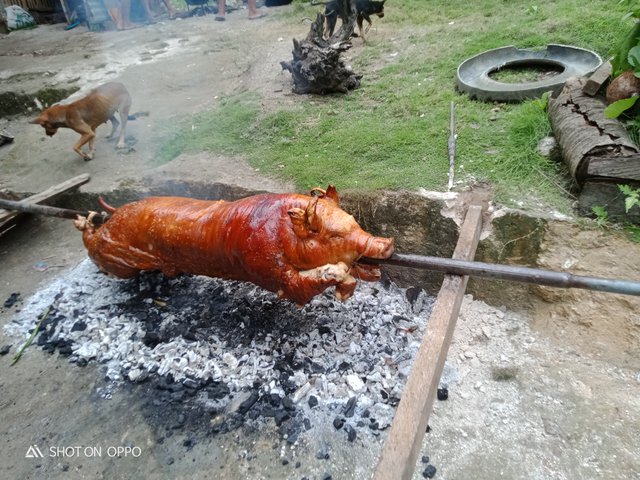IMG20211002113820.jpg