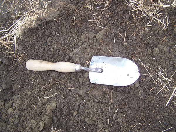 Soil Test - trowel crop Nov. 2018.jpg