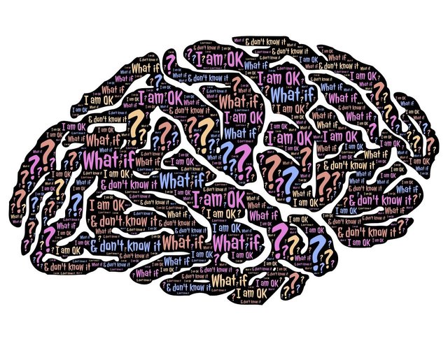 brain-859329_1280.jpg