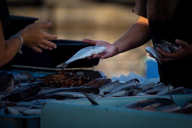 fish-market-7519944_1280.jpg