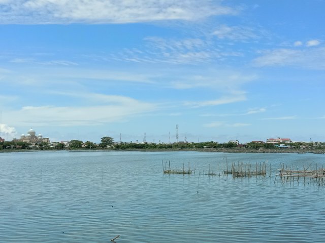 IMG_20250405_134215.jpg