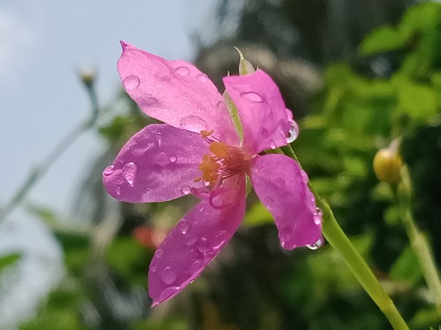 IMG20250711131905.jpg
