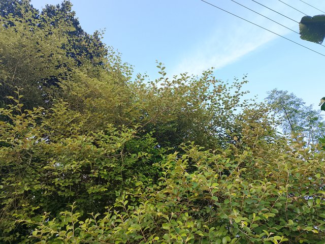 1000045590.jpg