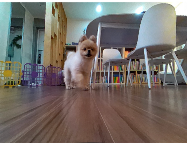 KakaoTalk_20250808_212021582_02.png