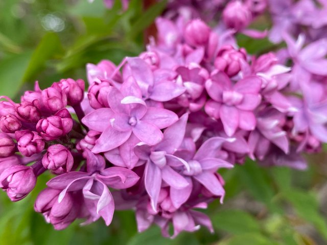 IMG_6048.jpeg