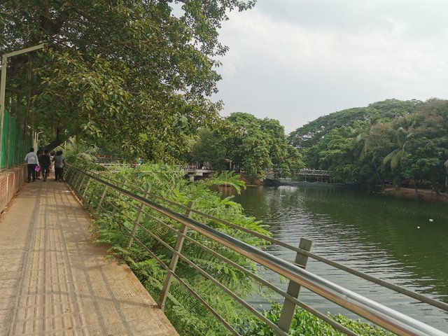 IMG_20240608_161110.jpg