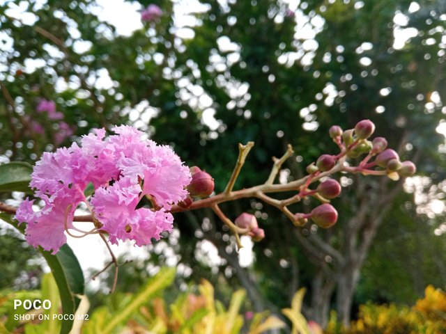 IMG_20250605_180524.