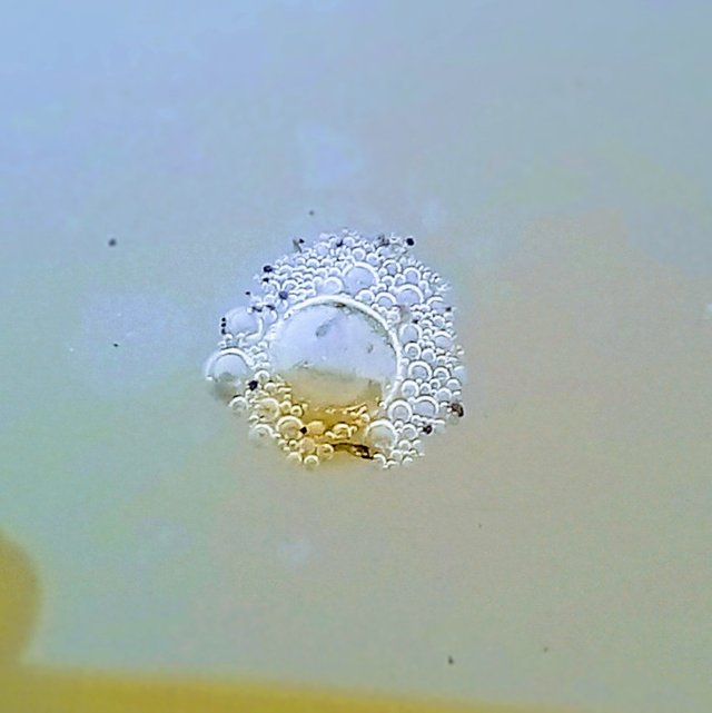 20250324_180013~2.jpg