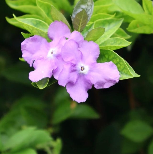 IMG_20250810_160705.jpg