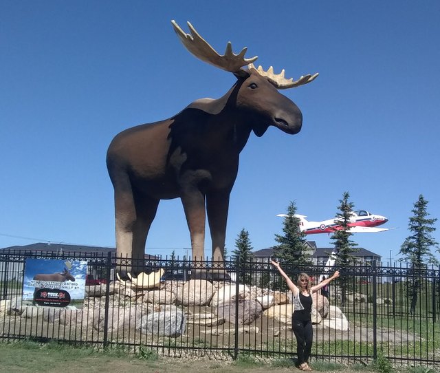 Moose Jaw Mac c.jpg