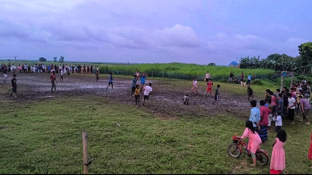 IMG_20250717_145205.jpg