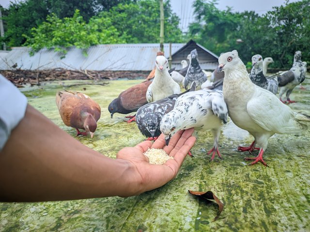 Raju20250918_110424_Vivid Human Portrait By Light Editz (1).jpg