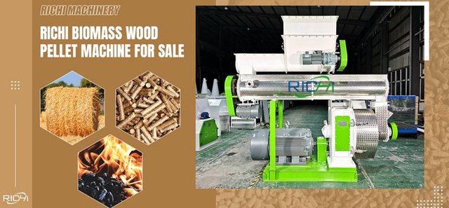 RICHI wood pellet machine.jpg