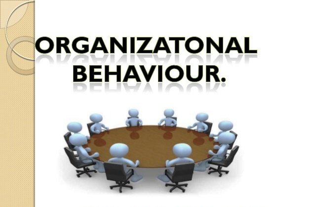 organizational sustainability.jpg