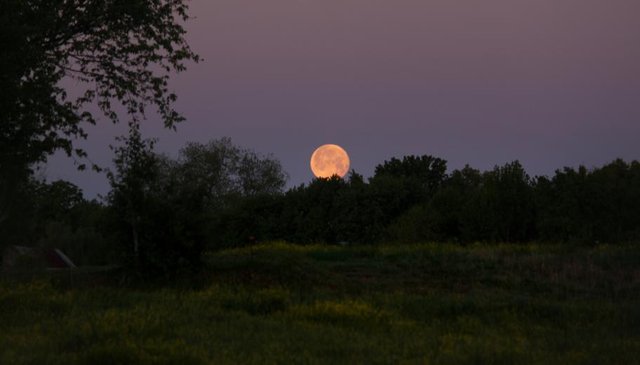 moon hanging low.jpg