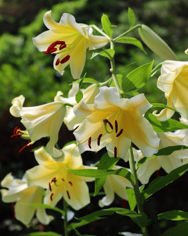 IMG_20250706_090757.jpg