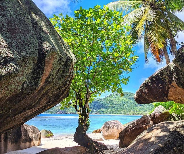 Seychelles 🙏 Grazie Madre Terra.jpg
