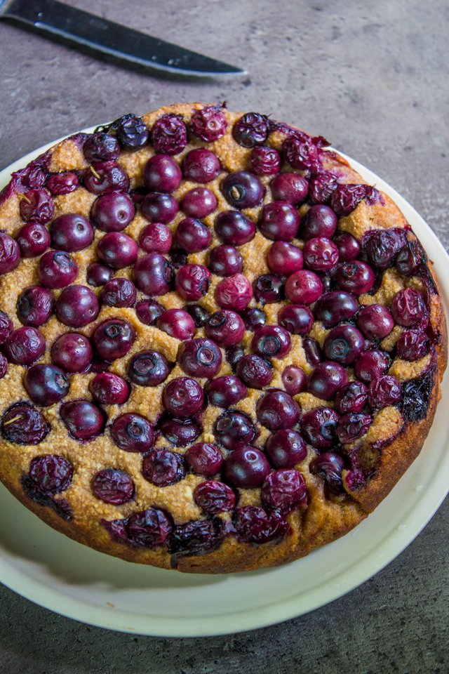 Blueberry cake (1 von 3).jpg