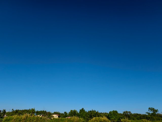 IMG_20250328_150943.jpg
