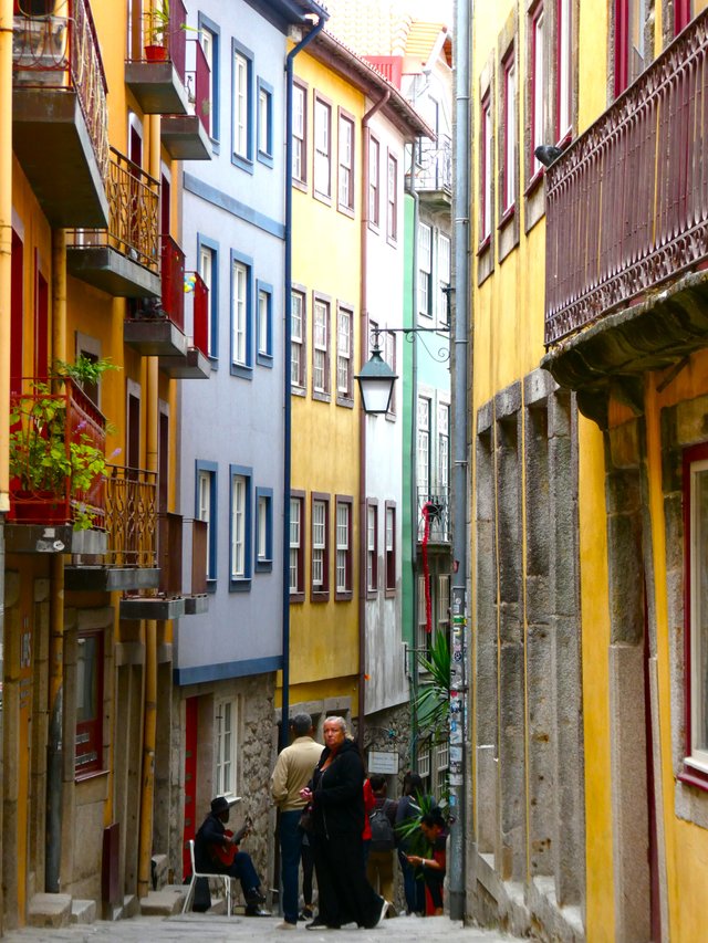 P1000237c.JPG