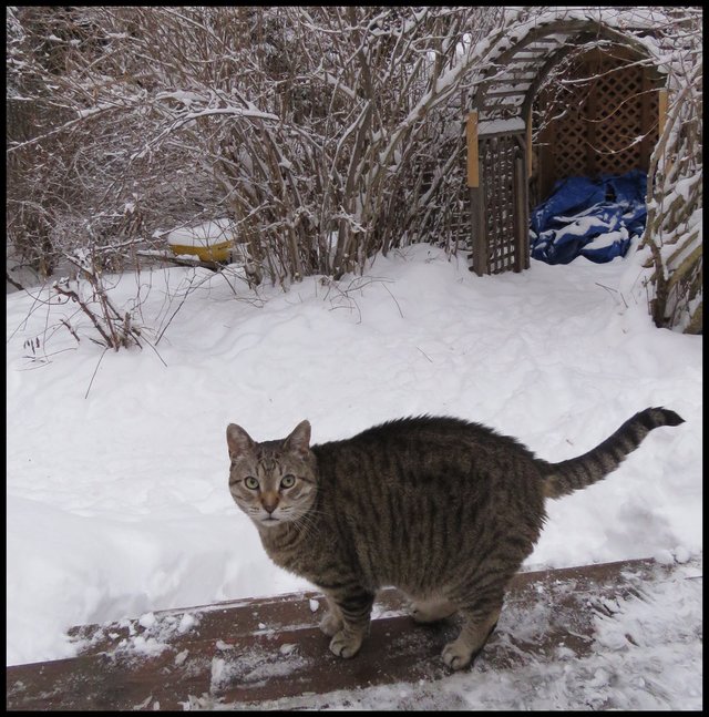 JJ outside on deck looking up at me snowy arches behind.JPG