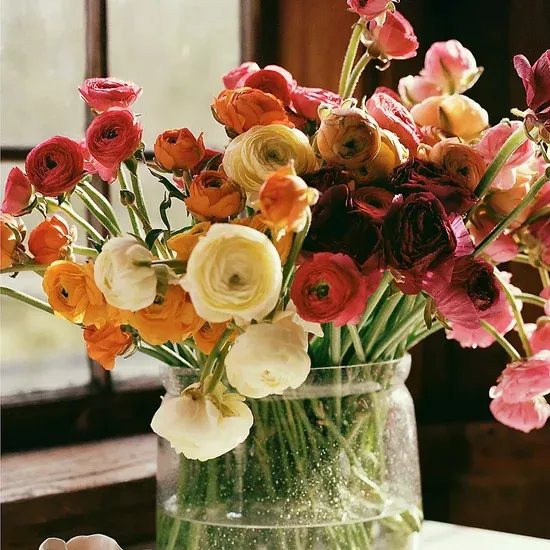 best-plants-and-dried-flowers-anthropologie.webp