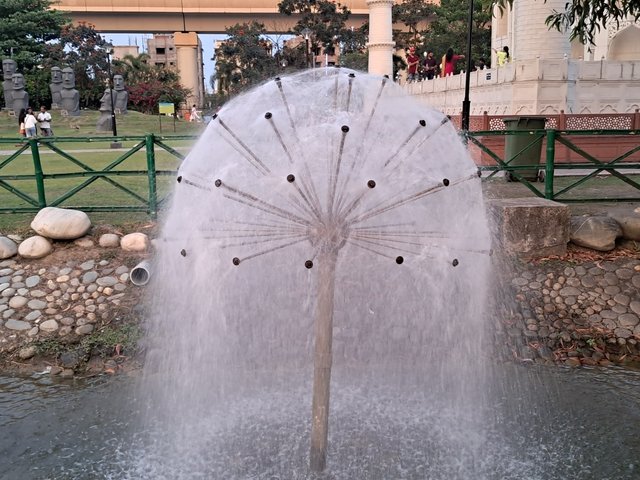 1000051784.jpg
