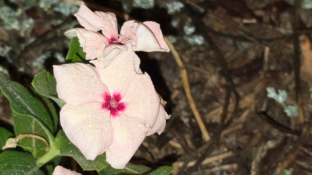 20241210_021754.jpg