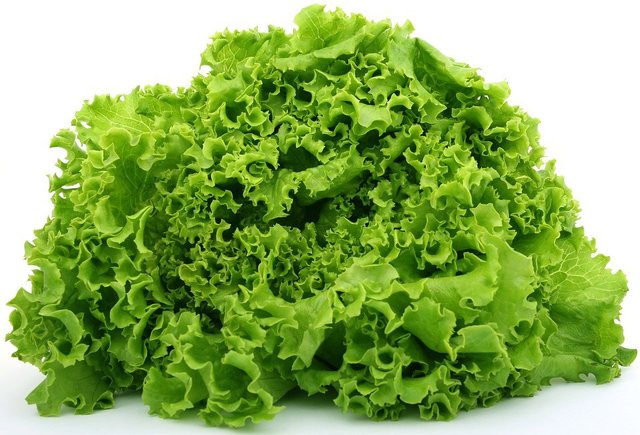 lettuce-uses.jpg