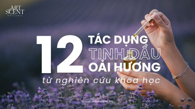 bat-ngo-voi-12-tac-dung-cua-tinh-dau-hoa-oai-huong-tu-nghien-cuu-khoa-hoc-3.jpg