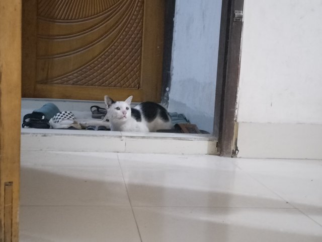 IMG20250731220152.jpg